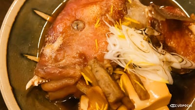 旨みぎっしり！ユニークフェイスの「コブダイ（カンダイ）」