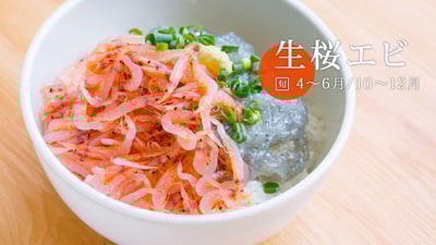 春漁のシーズン到来「生桜エビ」